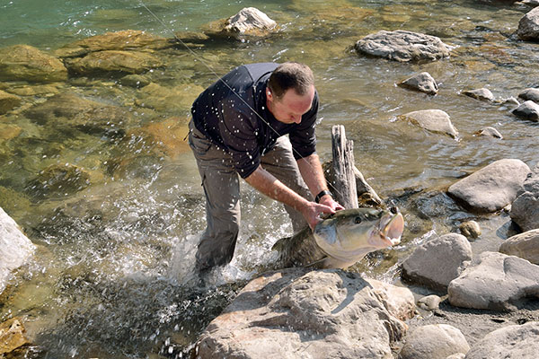 Mai Beni Fishing