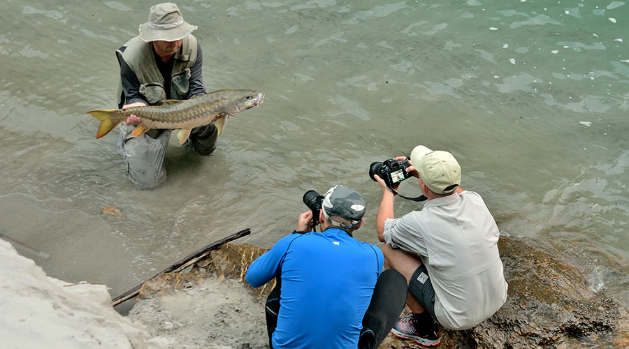 Tamor and Koshi Fishing
